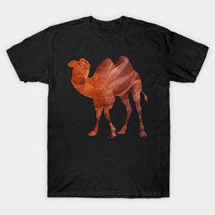 Camel in Sandstone T-Shirt